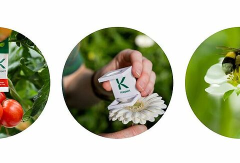 Fachberater (m/w/d) biologischer Pflanzenschutz im geschützten Anbau für den Raum Nordosten/ Hamburg/ Niedersachsen in Vollzeit