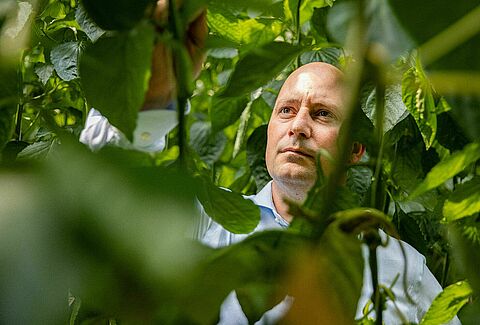 Beeindruckendes Raubmilben-Portfolio dank kontinuierlicher Forschung und Innovationen