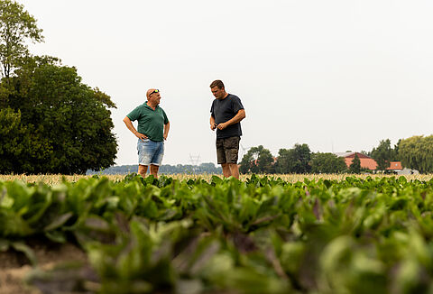 Auf dem Weg zu einer chemiefreien Zukunft in der Landwirtschaft: Die Vision des Anbauers Koen