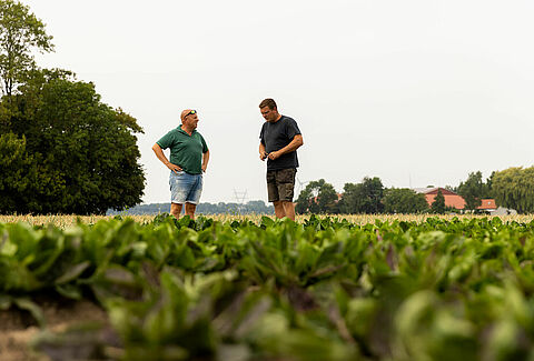 Auf dem Weg zu einer chemiefreien Zukunft in der Landwirtschaft: Die Vision des Anbauers Koen