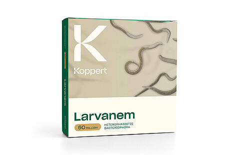 Larvanem – Seit 25 Jahren die Nummer 1 gegen Dickmaulrüssler