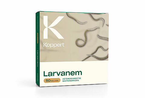 Larvanem – Seit 25 Jahren die Nummer 1 gegen Dickmaulrüssler