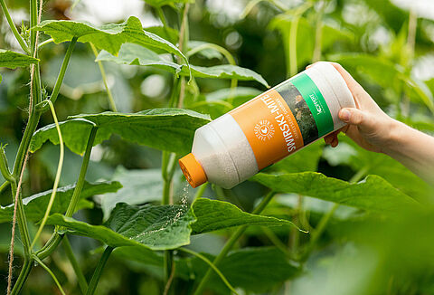 Koppert Qualitätskette für beste Ware