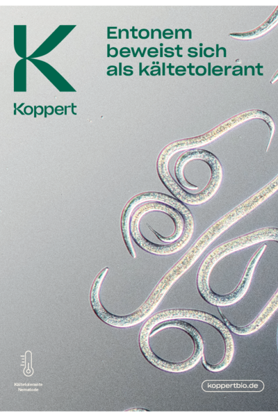 Entonem kältetolerant Leaflet