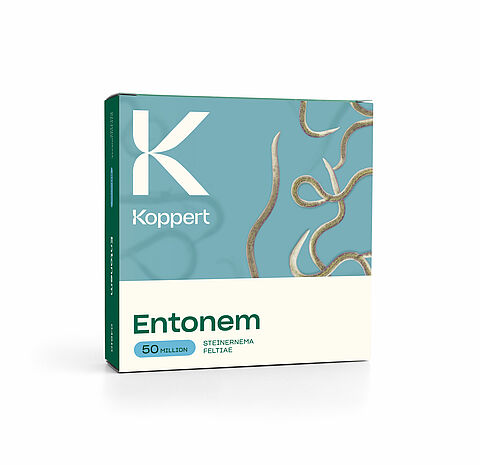 Entonem - wirkungsvolle Bekämpfung von Trauermücken