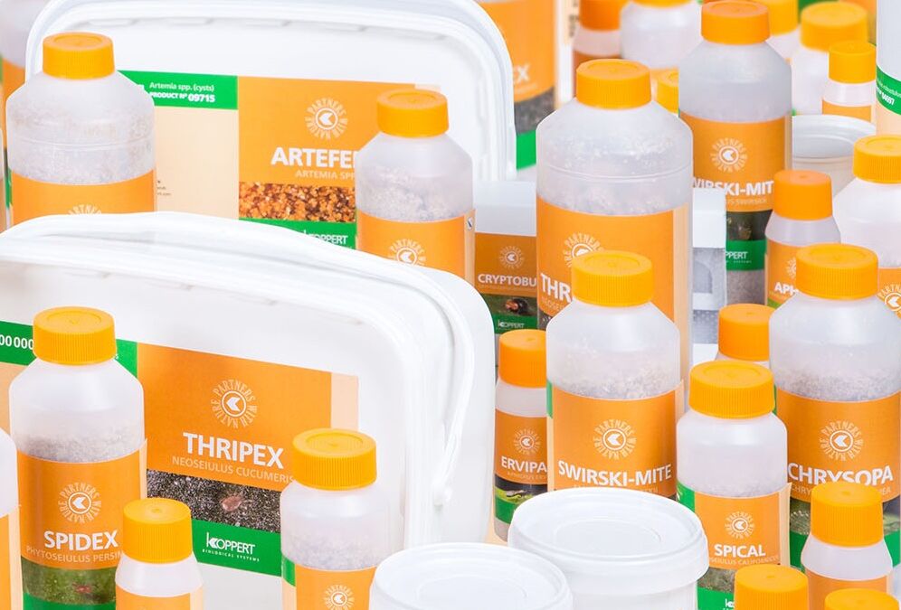 Weltweit neue Koppert-Produktlabel