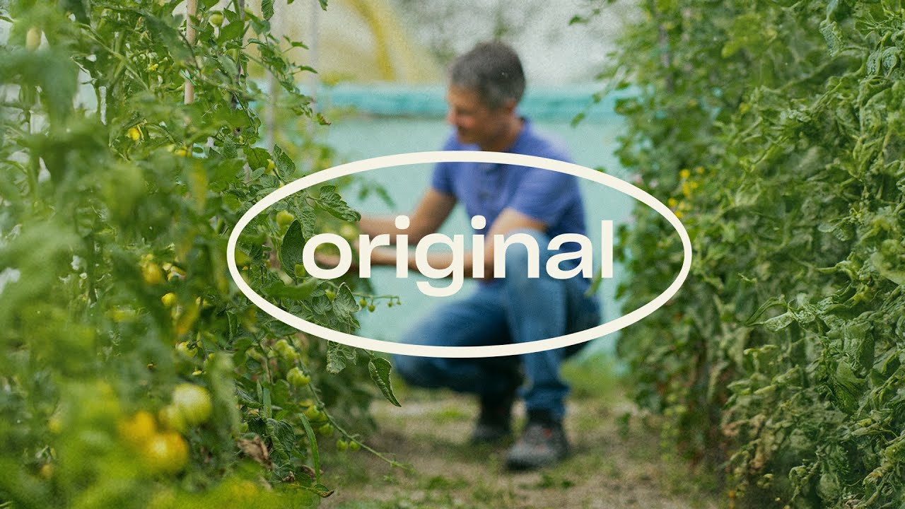 Nichts übertrifft das Original - Räuberische Raubmilben seit 1967