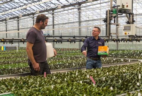 Entonem hält junge Orchideen frei von Pilzmücken