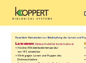 Dickmaulrüssler bekämpfen