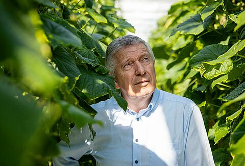 Wie eine kleine Raubmilbe den Grundstein für die heutige biologische Schädlingsbekämpfung legte