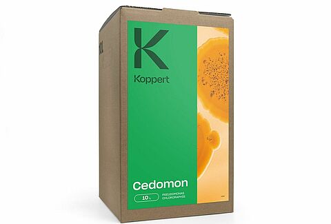 Cedomon