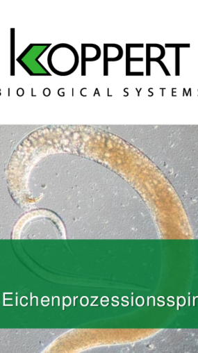 Capirel Eichenprozessionsspinner Whitepaper