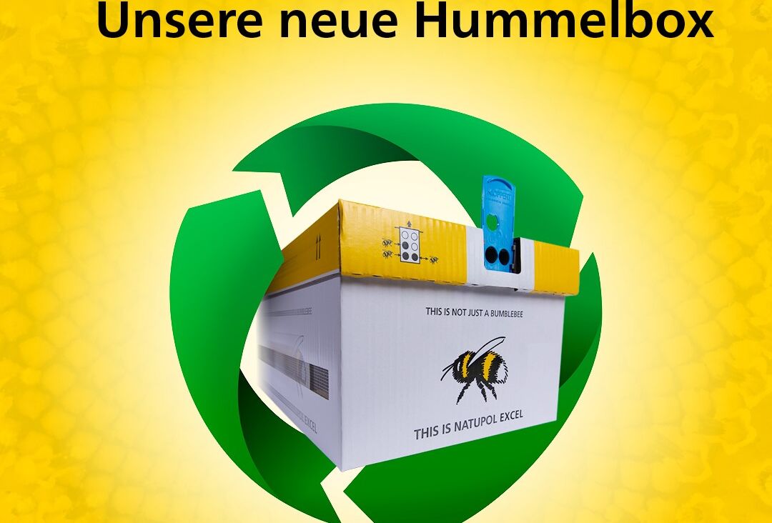 Auf Nachhaltigkeit gesetzt − Unsere neue Hummelbox