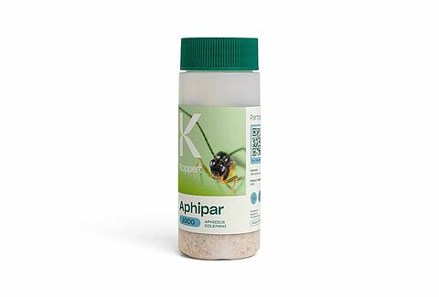 Aphipar