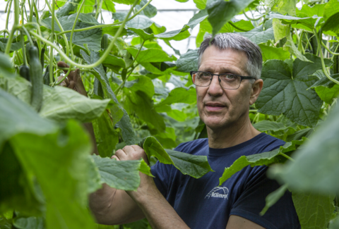 Spidex Vital hält, was es verspricht