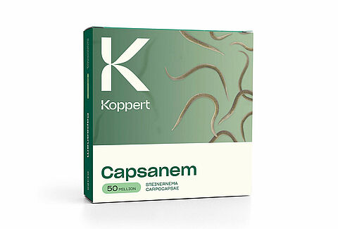 Bekämpfung von Rasenschädlingen mit Nematoden