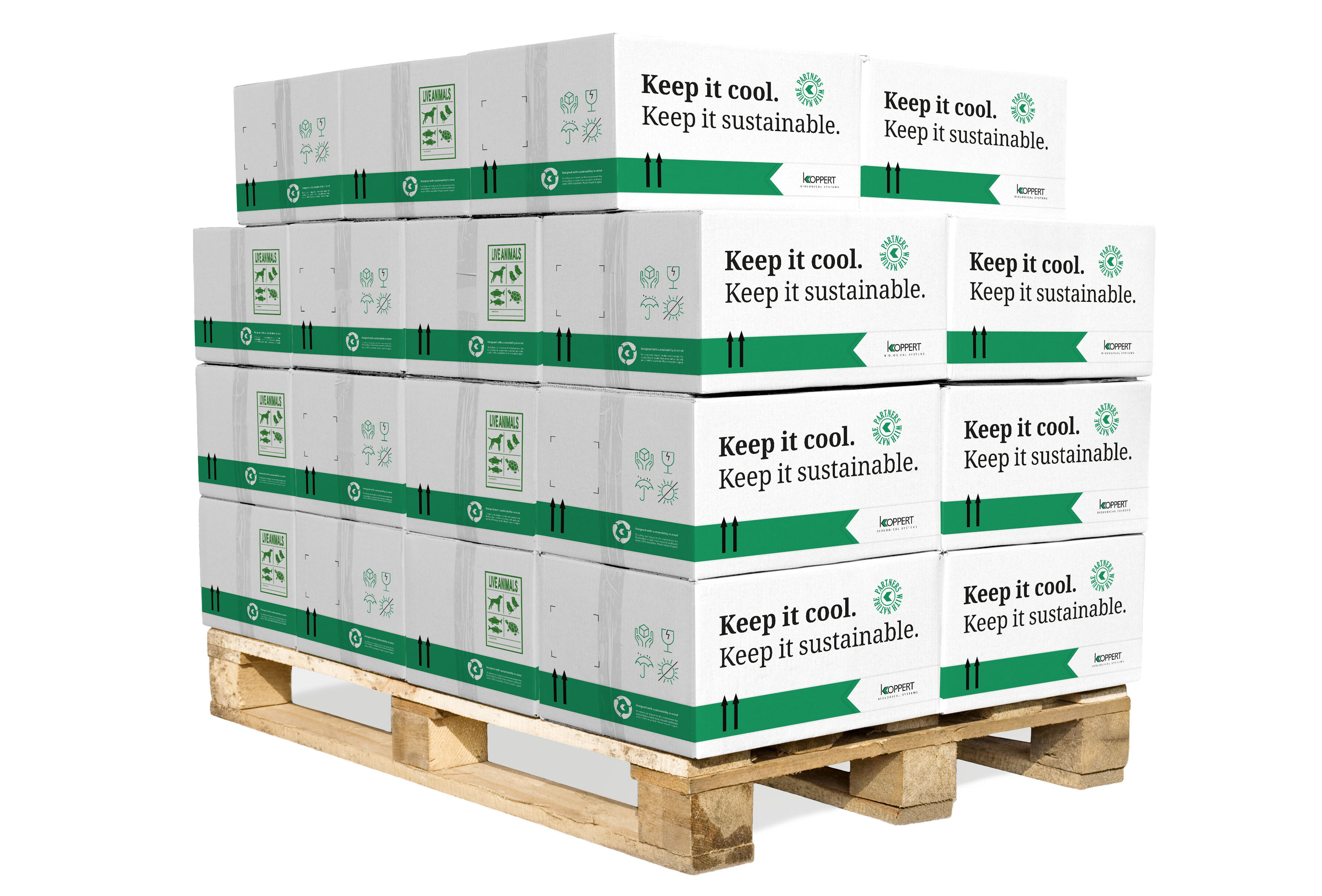 Neue umweltfreundliche Kühlbox