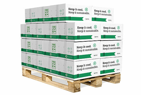 Neue umweltfreundliche Kühlbox