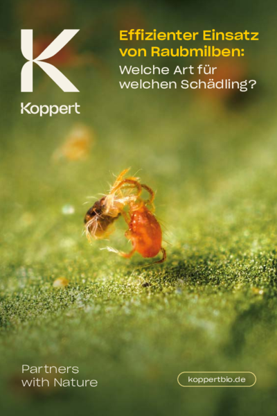 Welche Raubmilben eignen sich gegen welche Schädlinge