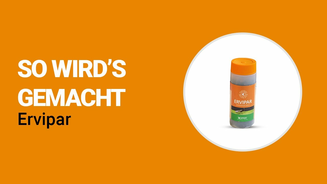 So wird’s gemacht - Koppert Ervipar