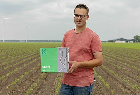 Bohnensamenfliege mit nützlichen Nematoden bekämpfen