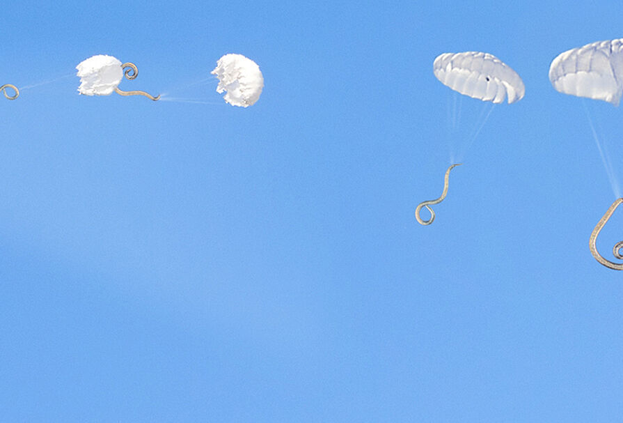 Nematoden gegen Raupen und andere Blattschädlinge