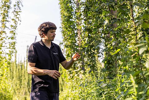 Einblicke in den ökologischen landbau und den biologischen pflanzenschutz
