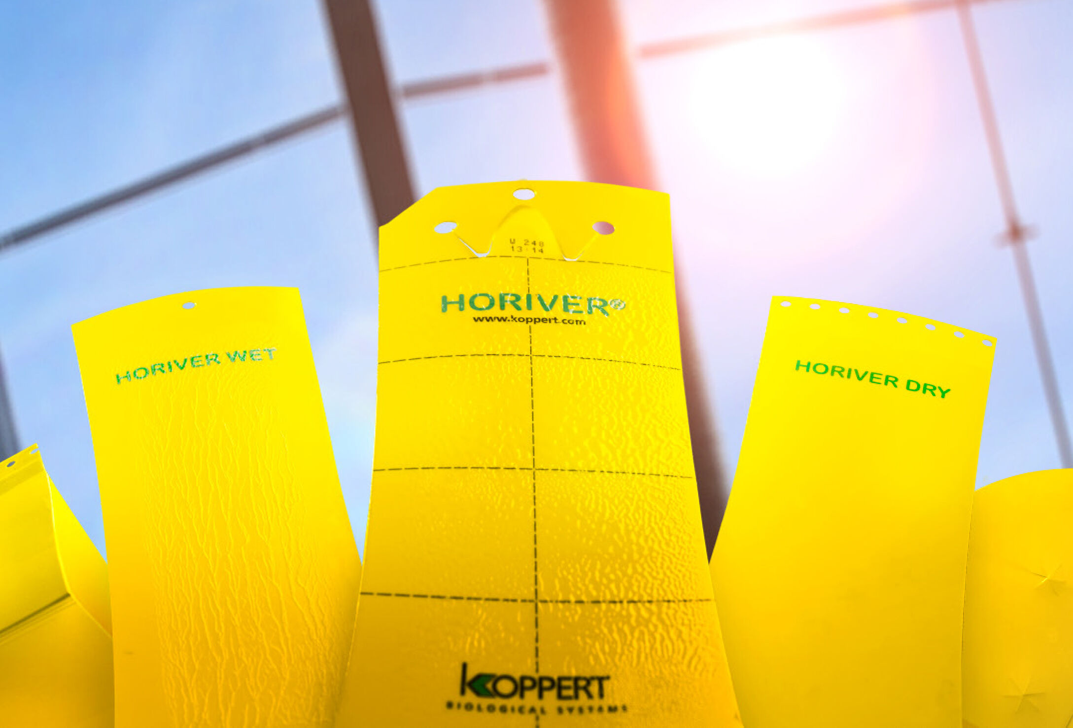 Neues Sortiment HORIVER Klebefallen
