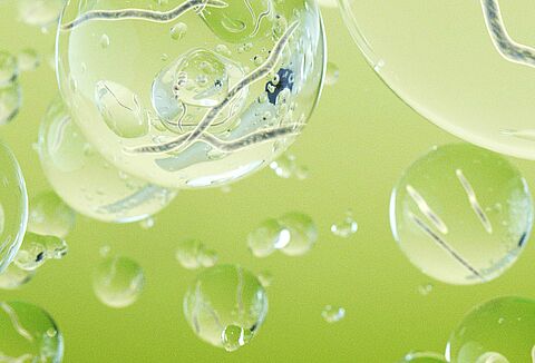 Nützliche Nematoden zur Schädlingsbekämpfung in Freilandkulturen