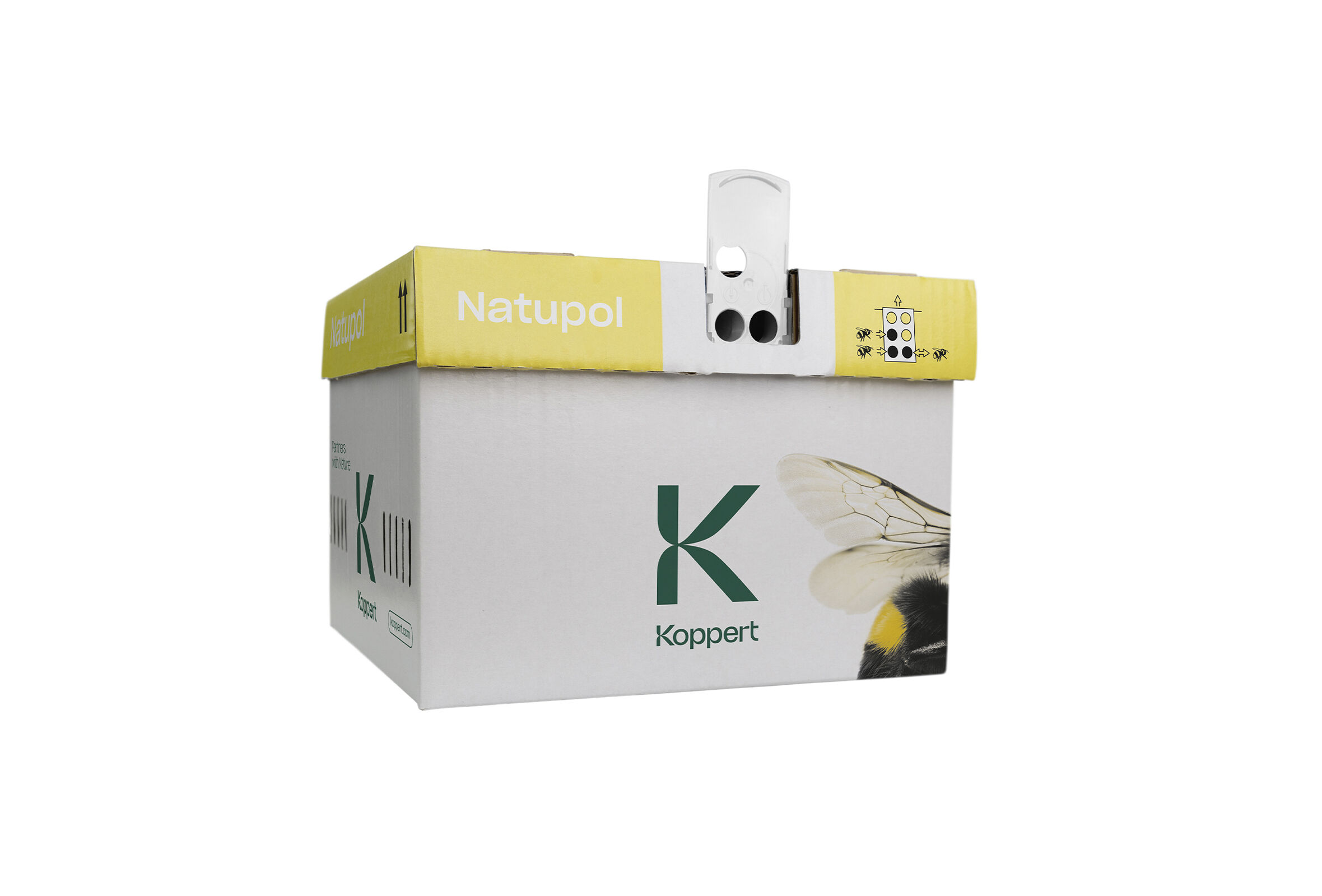 Hummelkästen rechtzeitig tiefer und schattig stellen