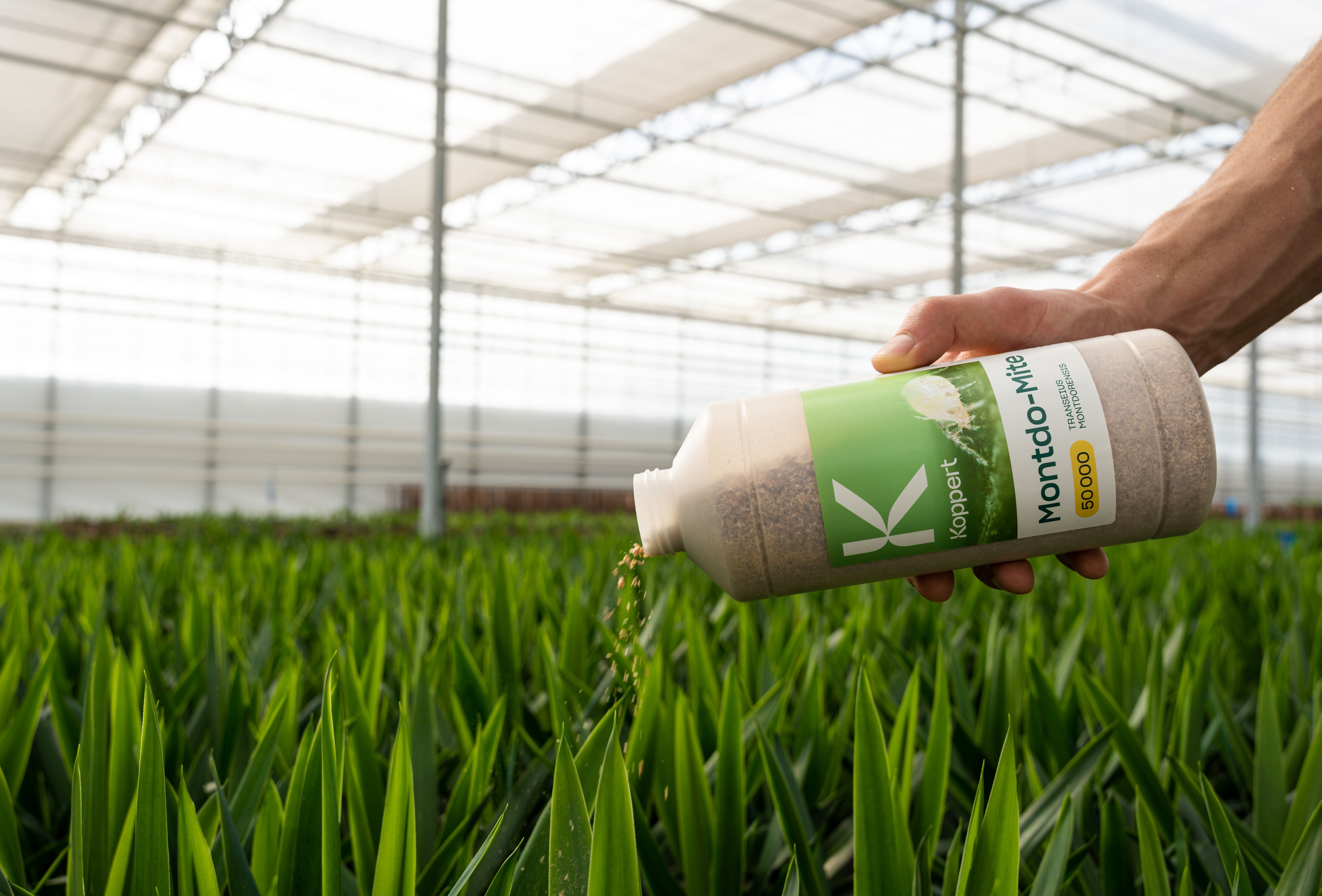 Neues nachhaltiges Material für 1-l-Flaschen