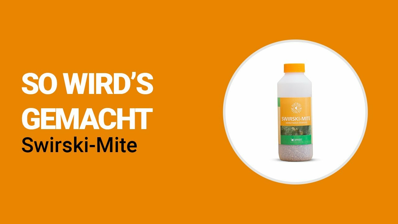 So wird’s gemacht - Koppert Swirski-Mite