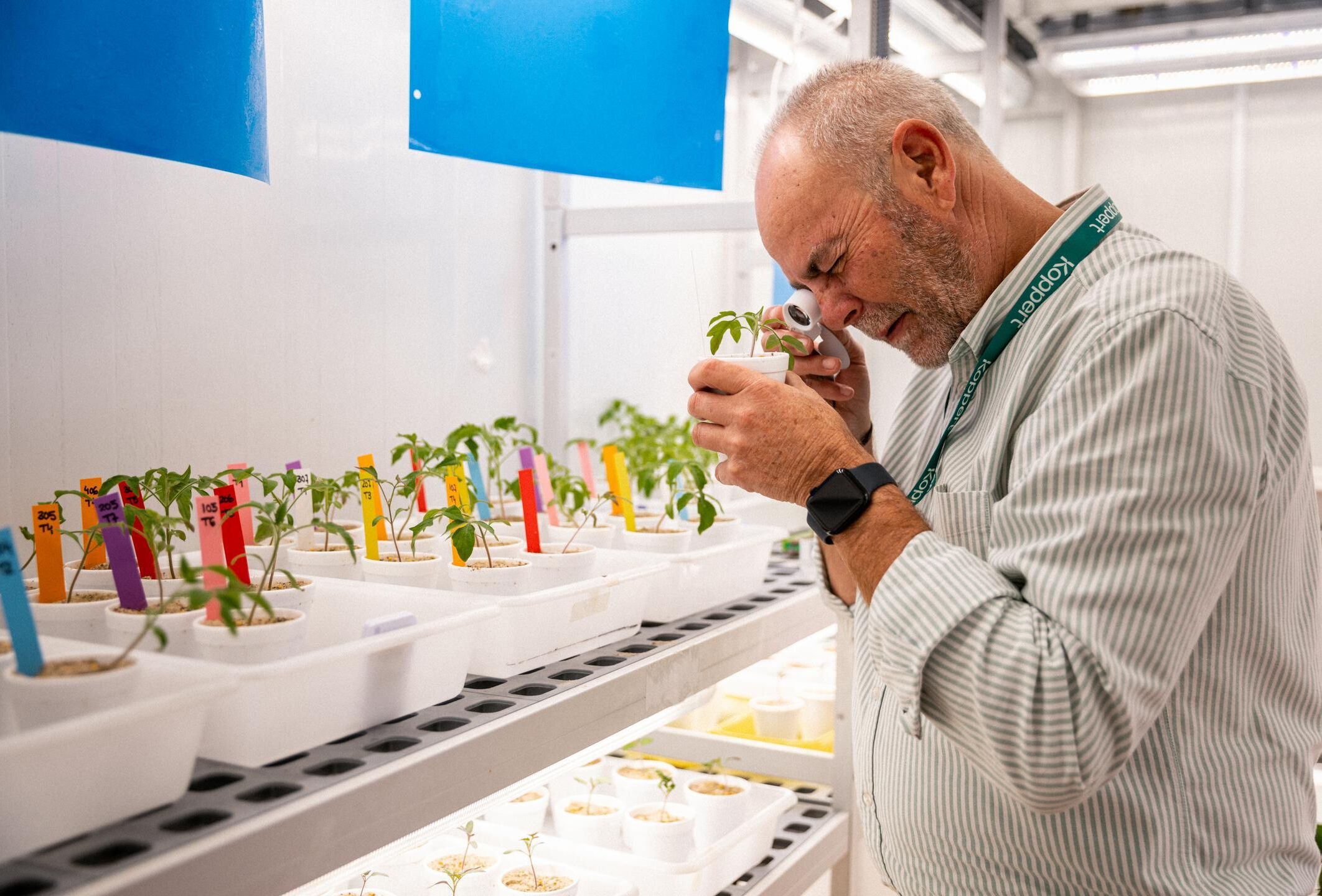 Pflanzenschutz im Wandel: der Aufstieg der Raubmilben