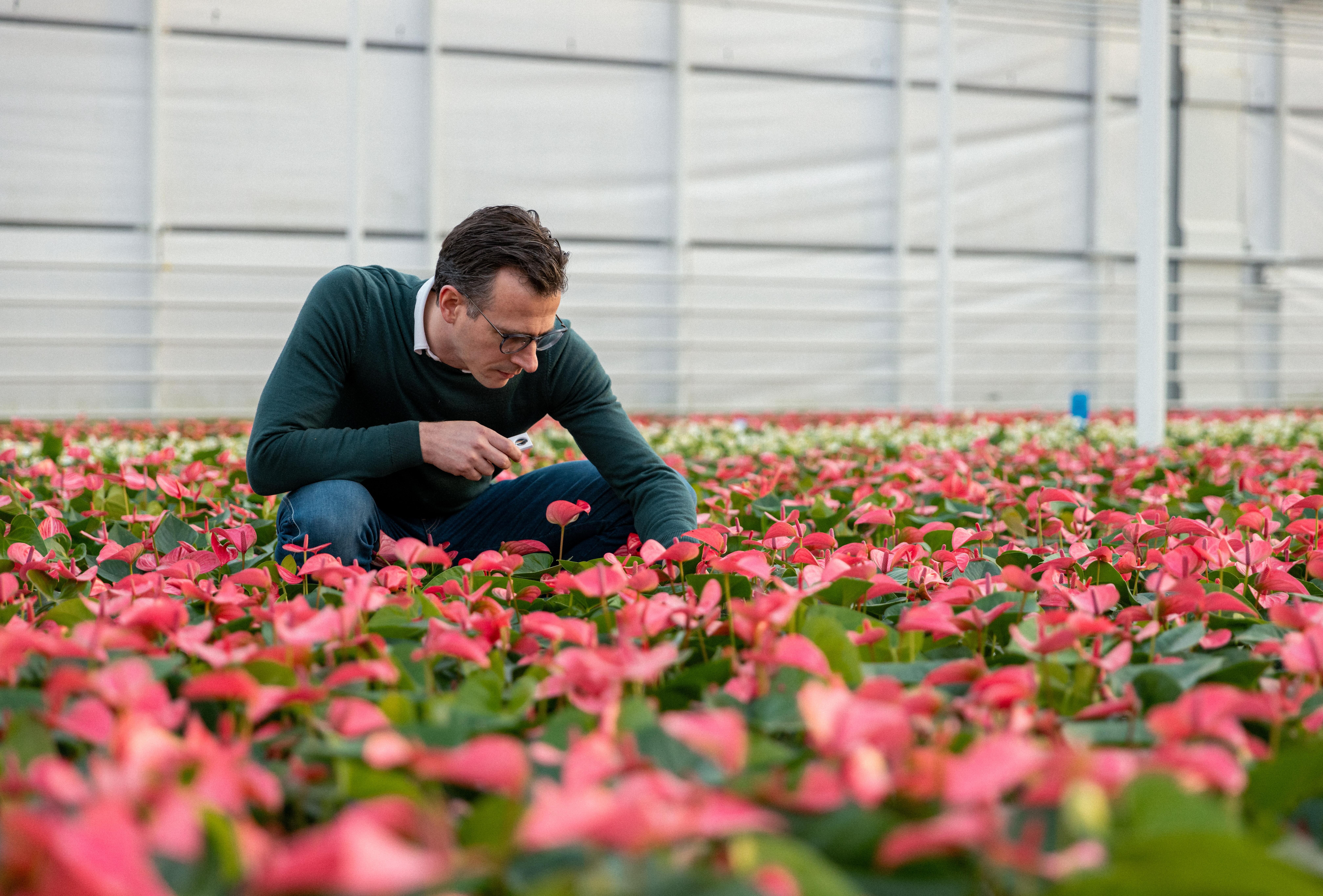 Ein Vermächtnis der Nachhaltigkeit: Die gemeinsame Vision der Gebrüder Stolk und von Koppert