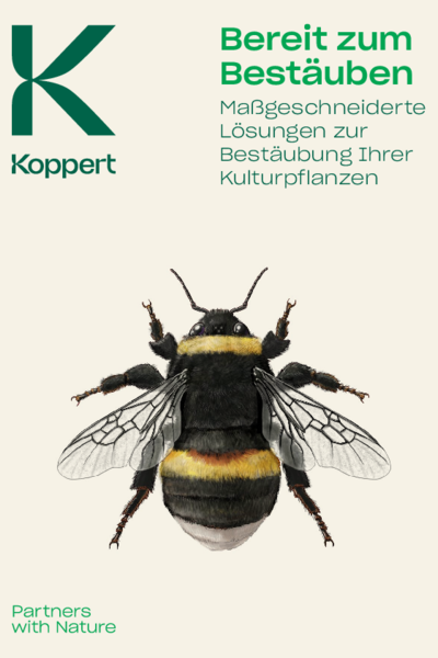 Koppert_Natupol_Hummeln_Broschüre_DE.pdf