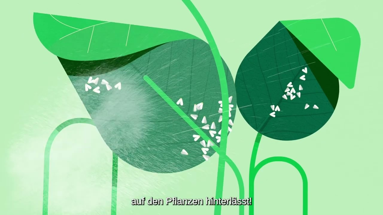 Mycotal - so wirkt es!