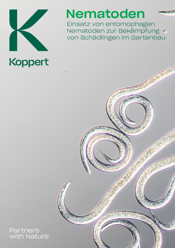 Nematoden zur Bekämpfung von Schädlingen im Gartenbau