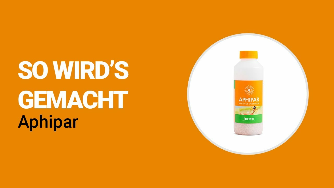 So wird's gemacht - Koppert Aphipar