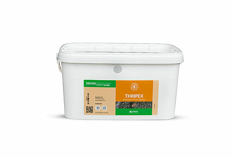 Thripex mit konzentrierter Schlagkraft