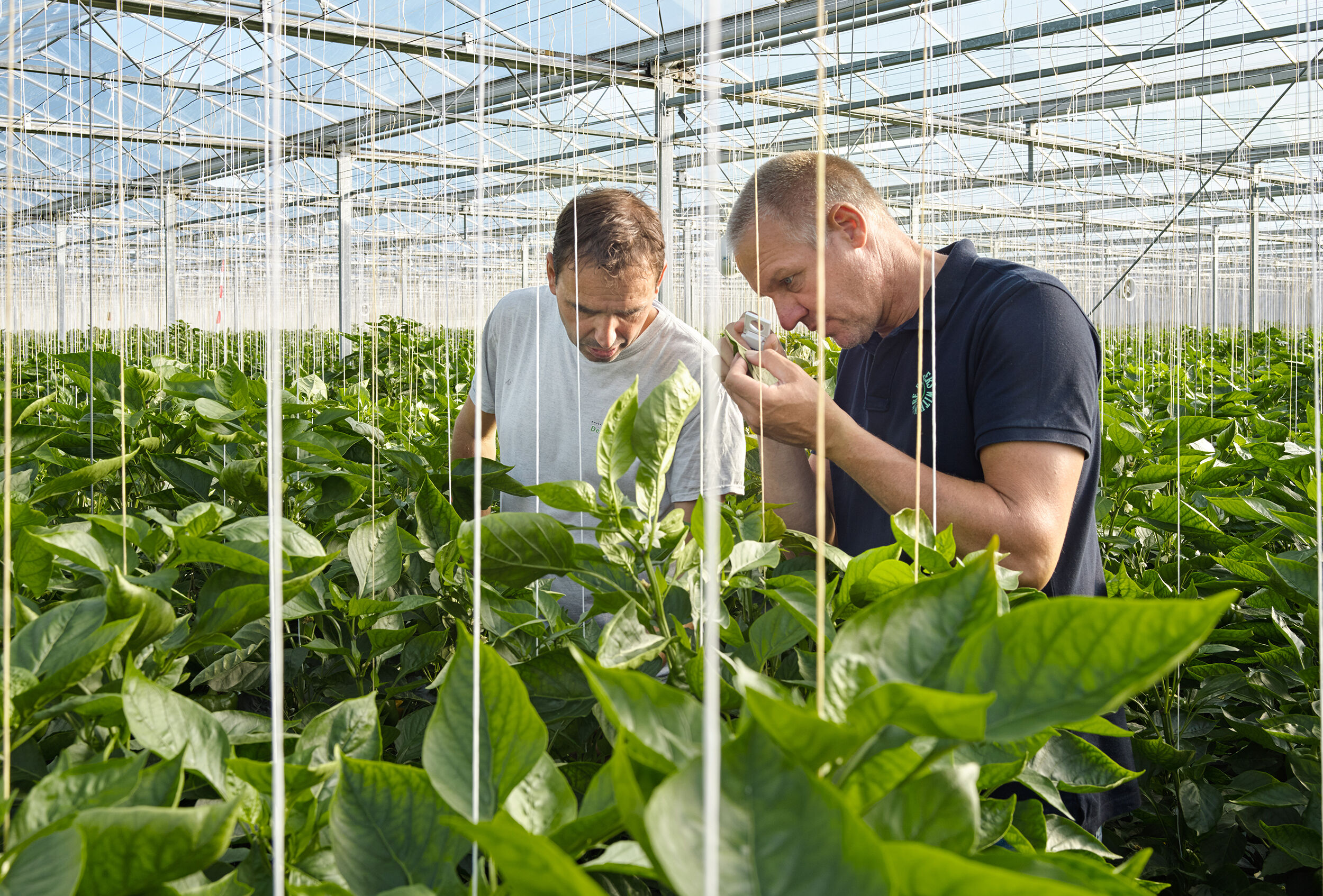 Allgemeine Veranstaltungen