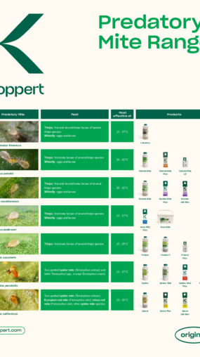 Predatory Mites Poster
