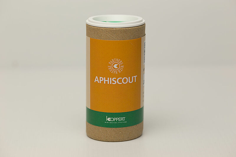 Aphiscout_IMG_3694.jpg