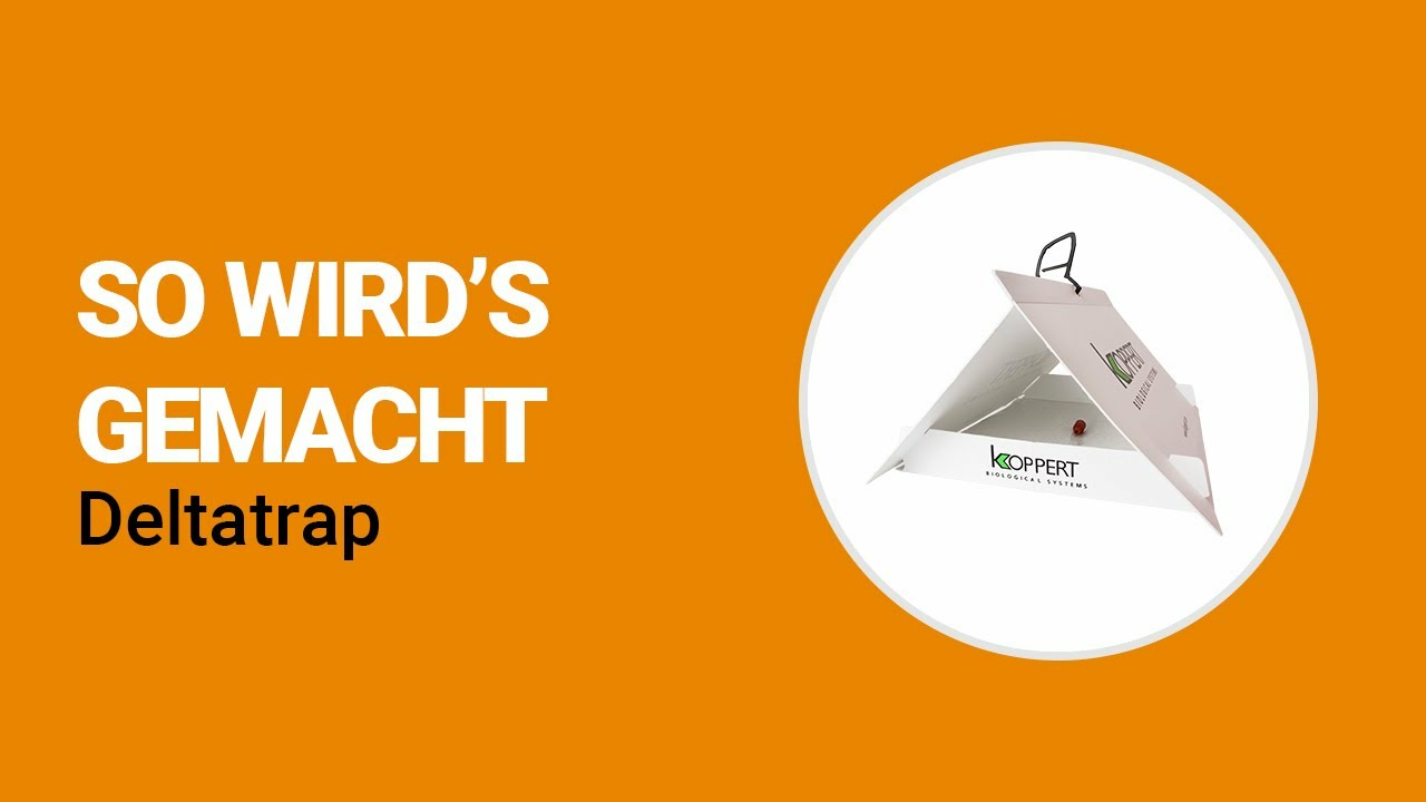 So wird’s gemacht - Koppert Deltatrap