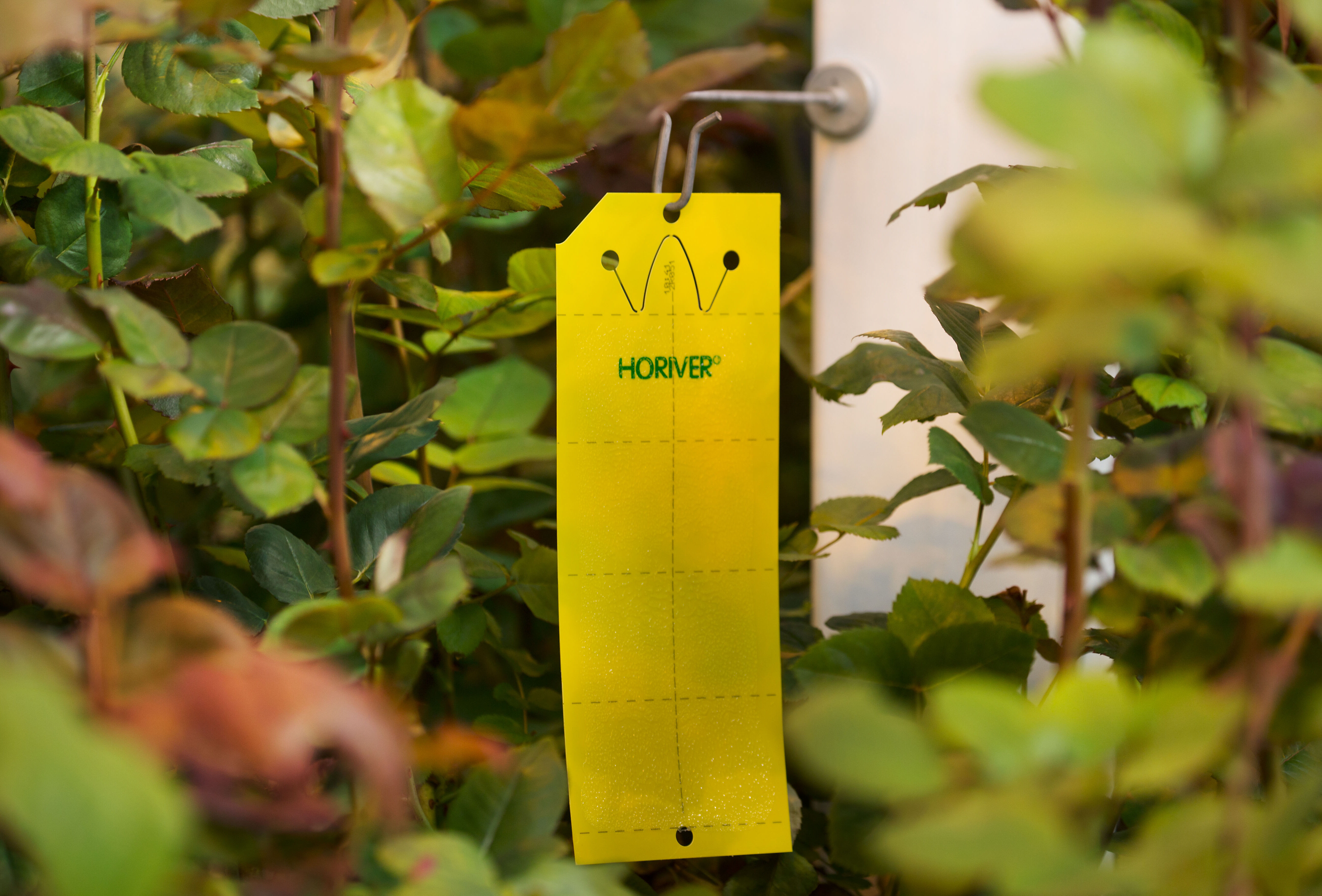 Ein guter Start in die neue Anbausaison