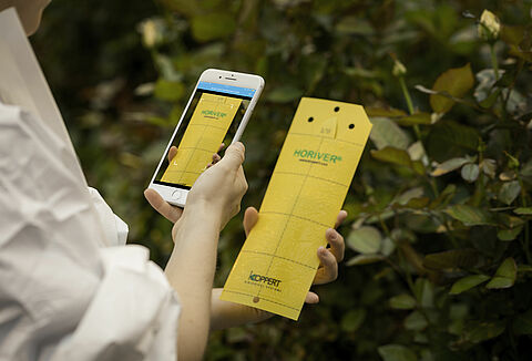 Auf Abstand nah dabei