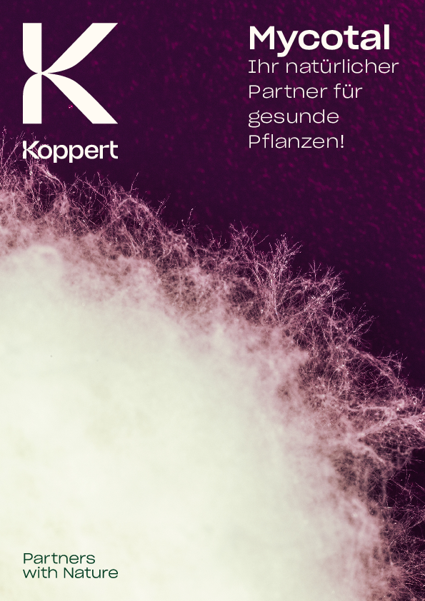 Mycotal Broschüre