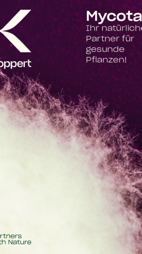Mycotal - Broschüre