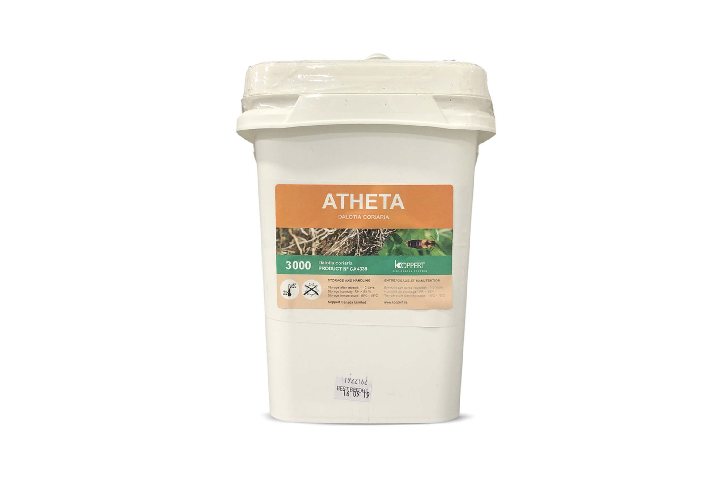 Atheta_3000-2.JPG